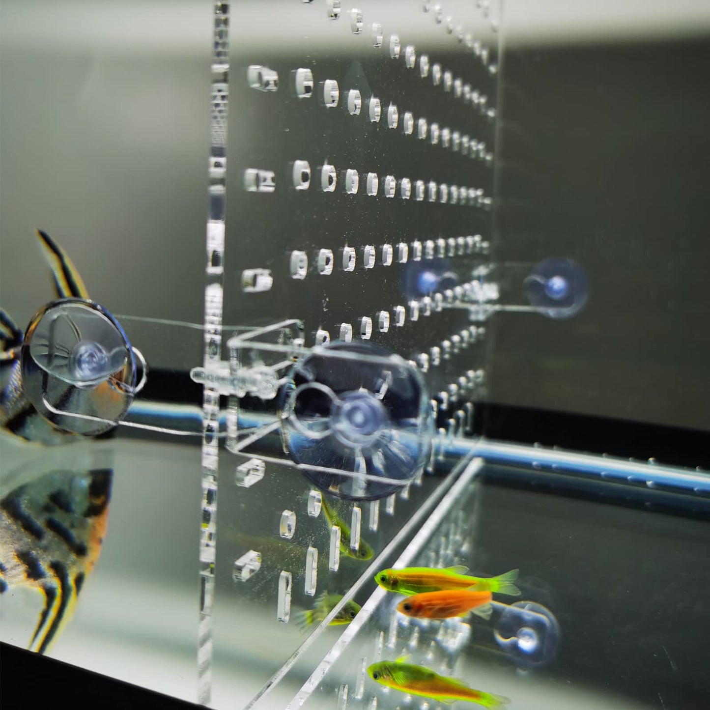 Aquarium Divider 10/15/20/25/29/30/40 Breeder 65/75/90/125/150 GallonFish Tank Divider Clear with Suction Cups Accessories