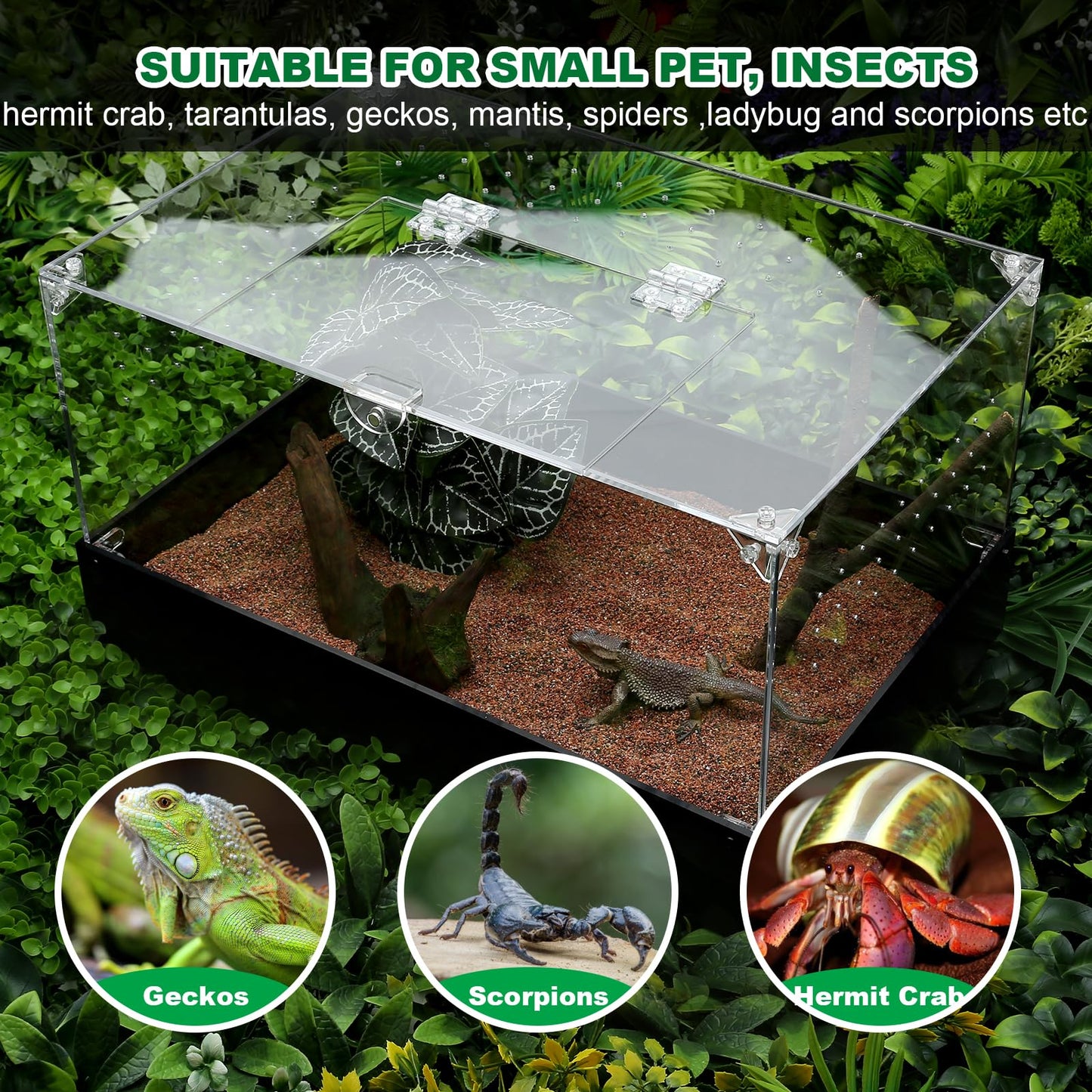 Hermit Crab Tank, Tarantula Enclosure Reptile Terrarium, 15 * 10 * 8 1/2" Acrylic Cage for Insect, Amphibians, Bugs, Snail,Scorpion, Mantis