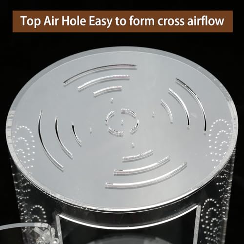 Jumping Spider Enclosure, 11 1/2”*6”*6”, Micro Habitat Terrariums, Arboreal Reptile Tank