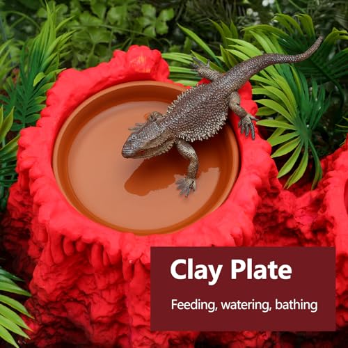 LYL LEYOULAND Reptile Hide Cave, Terrarium Hideout, Extra Large, Water Bowl for Reptiles, Made of Ceramic, Help Shedding for Reptile Amphibians Leopard Gecko