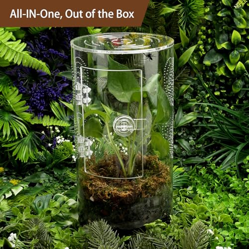 Jumping Spider Enclosure, 11 1/2”*6”*6”, Micro Habitat Terrariums, Arboreal Reptile Tank