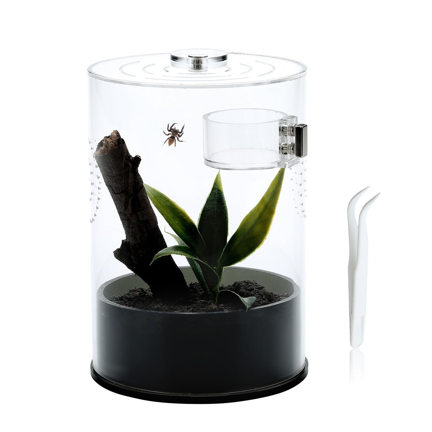 Jumping Spider Enclosure Starter Kit with Feeding Dish, Tarantula Cribs for Mantis Snails Ladybugs Insect, Micro Habitat Cage Accessories