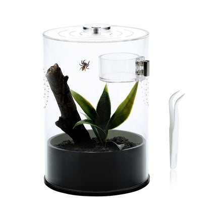 Jumping Spider Enclosure Starter Kit with Feeding Dish, Tarantula Cribs for Mantis Snails Ladybugs Insect, Micro Habitat Cage Accessories