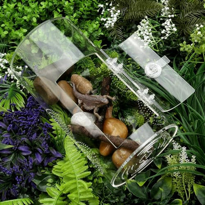 Jumping Spider Enclosure, 11 1/2”*6”*6”, Micro Habitat Terrariums, Arboreal Reptile Tank