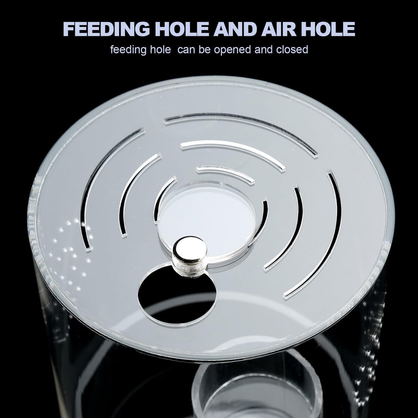 Jumping Spider Enclosure Starter Kit with Feeding Dish, Tarantula Cribs for Mantis Snails Ladybugs Insect, Micro Habitat Cage Accessories