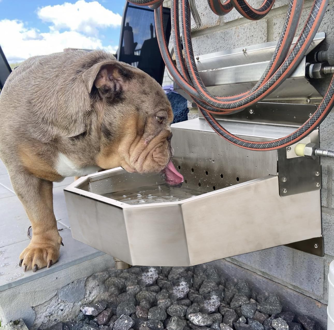 Outdoor Automatic Dog Waterer Bowl Dispenser，Self Filling Stock Waterer for Horses, Cattle, Goats, Pigs, Livestock, Heavy Stainless Steel, Extra Large Farm Animal Waterer Dispenser