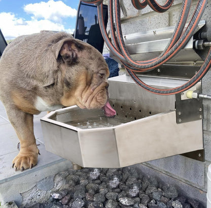 Outdoor Automatic Dog Waterer Bowl Dispenser，Self Filling Stock Waterer for Horses, Cattle, Goats, Pigs, Livestock, Heavy Stainless Steel, Extra Large Farm Animal Waterer Dispenser