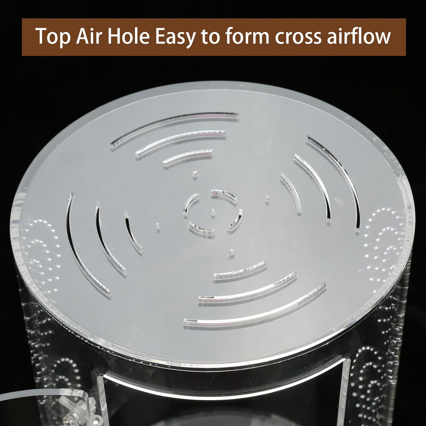 Jumping Spider Enclosure, 11 1/2”*6”*6”, Micro Habitat Terrariums, Arboreal Reptile Tank