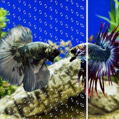 Aquarium Divider 10/15/20/25/29/30/40 Breeder 65/75/90/125/150 GallonFish Tank Divider Clear with Suction Cups Accessories