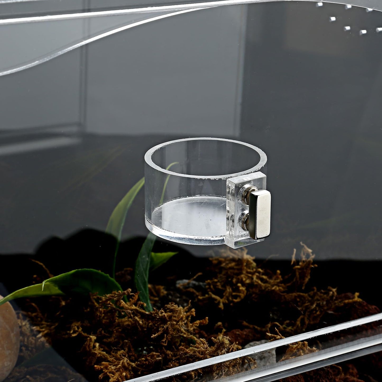 Tarantula Food Bowl Water Dish, Jumping Spider Feeding Dish, Enclosure Accessories, Feeder for Insect, Praying, Mantis Habitat, Butterfly, Bug