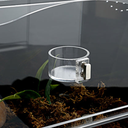 Tarantula Food Bowl Water Dish, Jumping Spider Feeding Dish, Enclosure Accessories, Feeder for Insect, Praying, Mantis Habitat, Butterfly, Bug