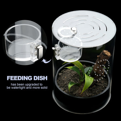 Jumping Spider Enclosure Starter Kit with Feeding Dish, Tarantula Cribs for Mantis Snails Ladybugs Insect, Micro Habitat Cage Accessories
