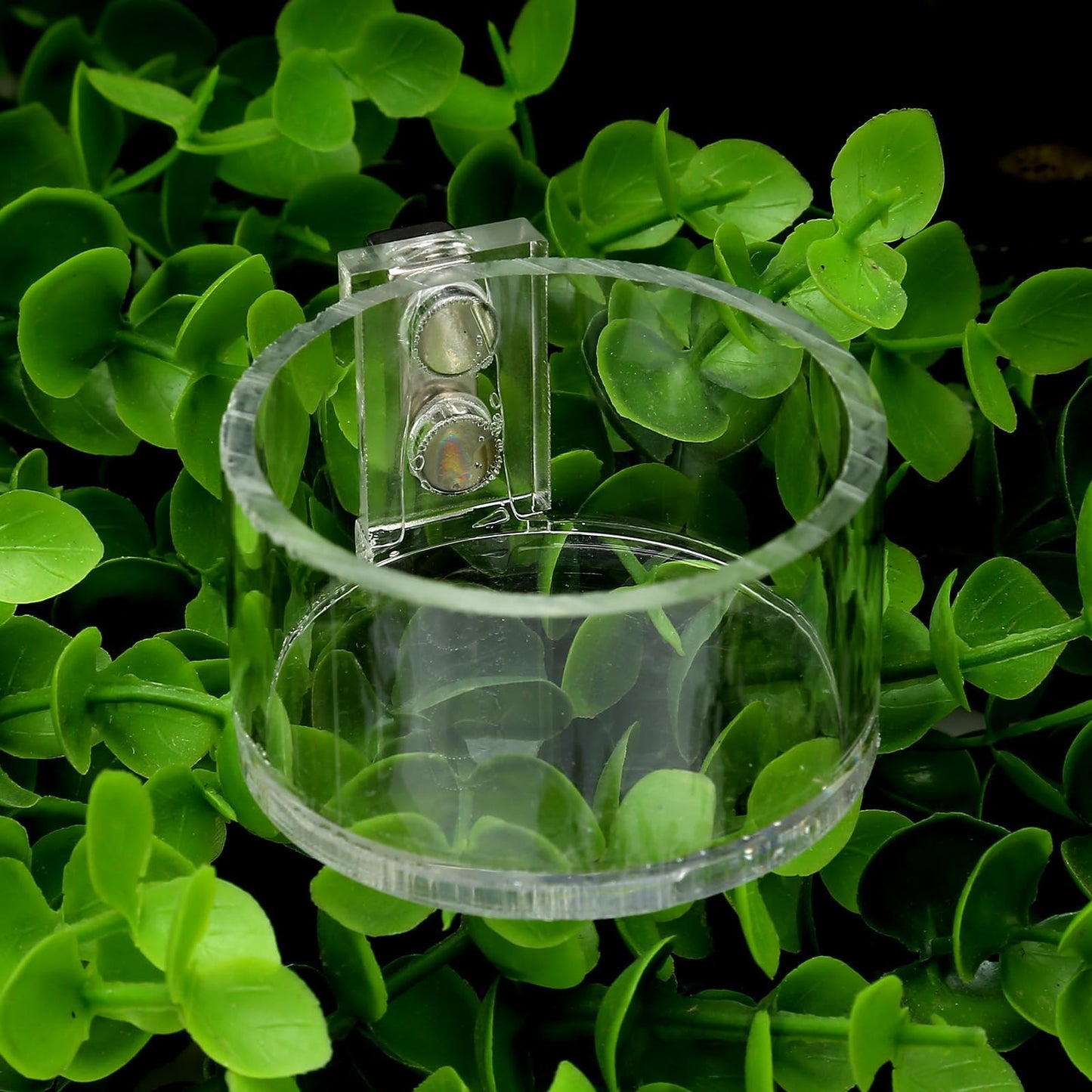 Tarantula Food Bowl Water Dish, Jumping Spider Feeding Dish, Enclosure Accessories, Feeder for Insect, Praying, Mantis Habitat, Butterfly, Bug