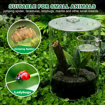 Jumping Spider Enclosure Starter Kit with Feeding Dish, Tarantula Cribs for Mantis Snails Ladybugs Insect, Micro Habitat Cage Accessories