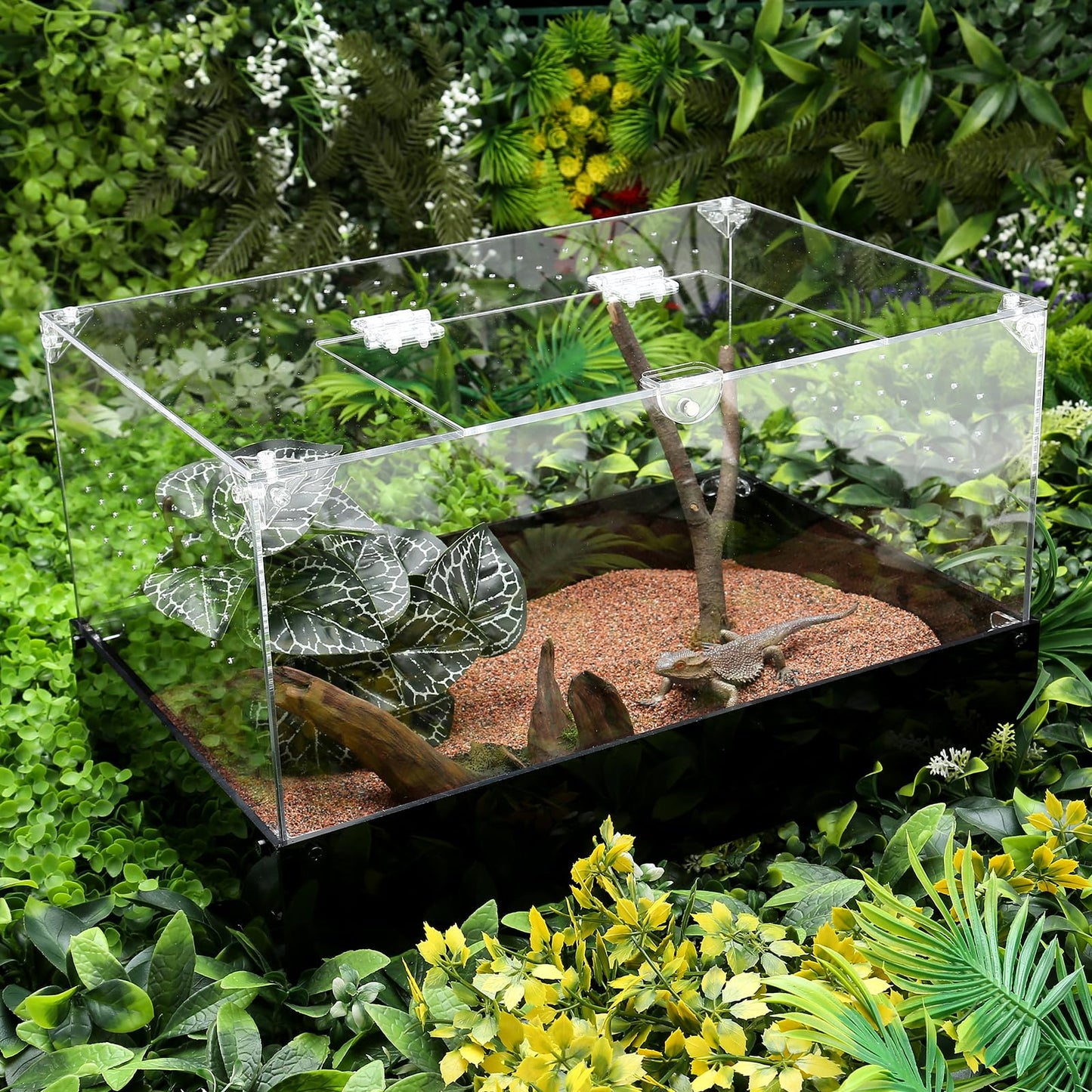 Hermit Crab Tank, Tarantula Enclosure Reptile Terrarium, 15 * 10 * 8 1/2" Acrylic Cage for Insect, Amphibians, Bugs, Snail，Scorpion, Mantis