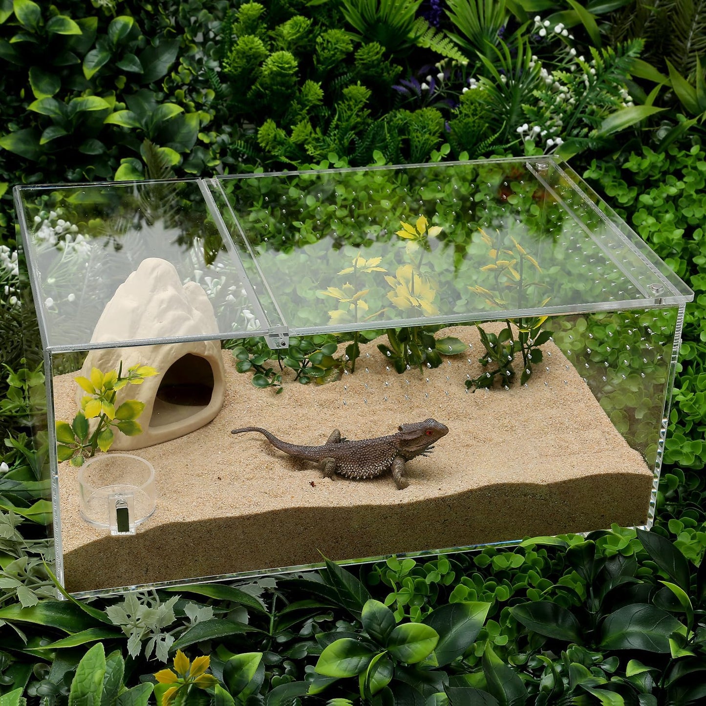 Tarantula Food Bowl Water Dish, Jumping Spider Feeding Dish, Enclosure Accessories, Feeder for Insect, Praying, Mantis Habitat, Butterfly, Bug