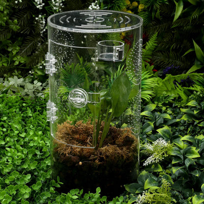 Tarantula Food Bowl Water Dish, Jumping Spider Feeding Dish, Enclosure Accessories, Feeder for Insect, Praying, Mantis Habitat, Butterfly, Bug