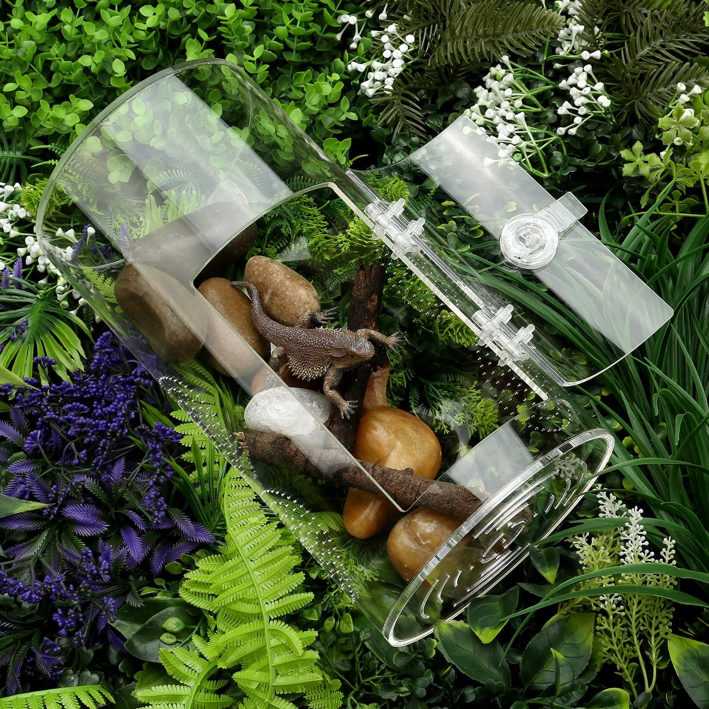 Jumping Spider Enclosure, 11 1/2”*6”*6”, Micro Habitat Terrariums, Arboreal Reptile Tank