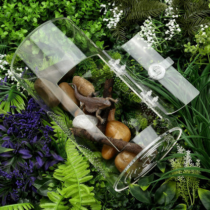 Jumping Spider Enclosure, 11 1/2”*6”*6”, Micro Habitat Terrariums, Arboreal Reptile Tank